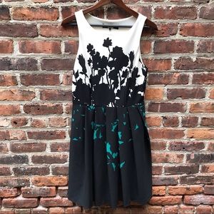 Eva Franco Fit and Flare Dress